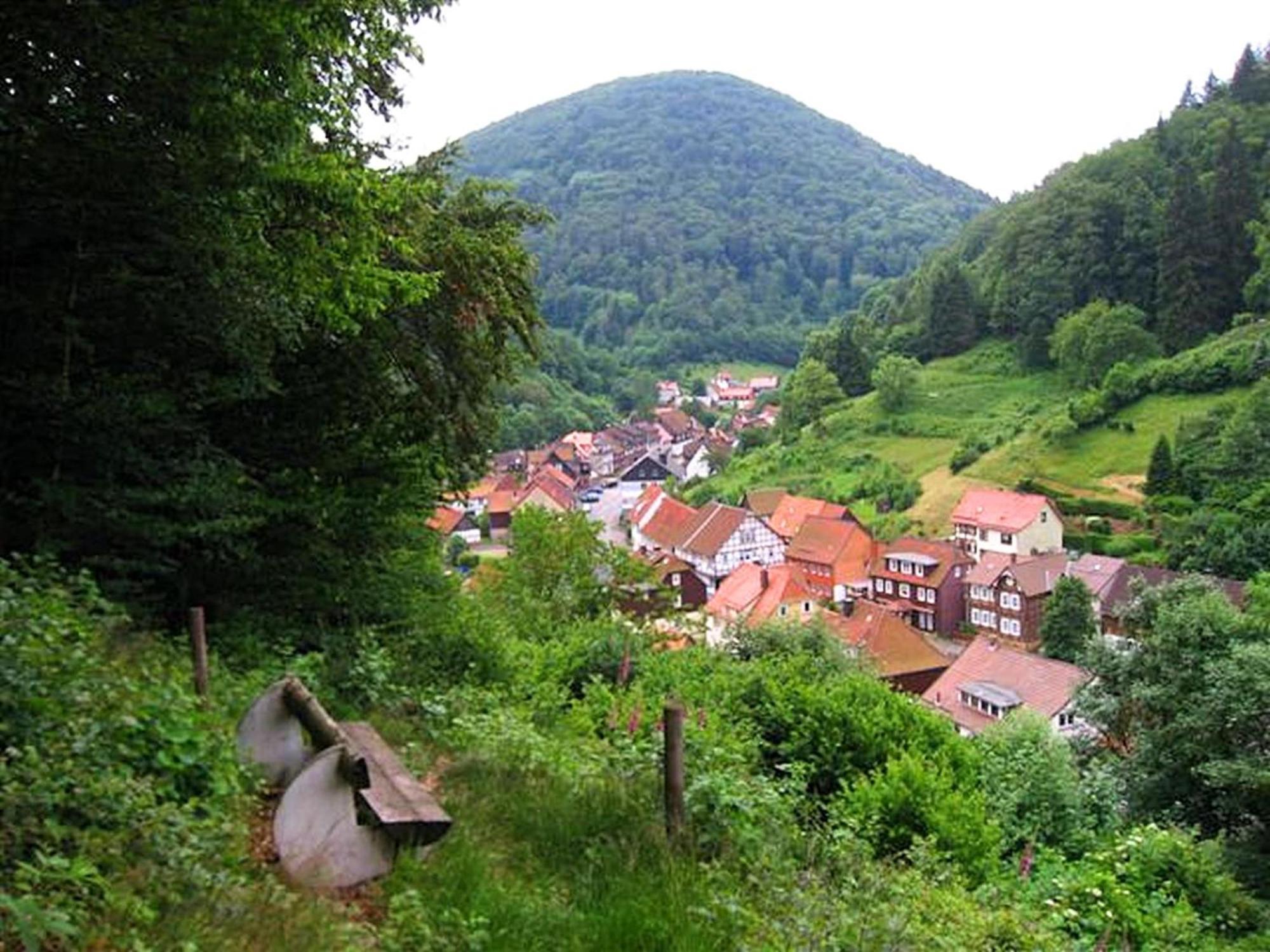 Spacious Group House In The Harz Region Zorge Екстер'єр фото