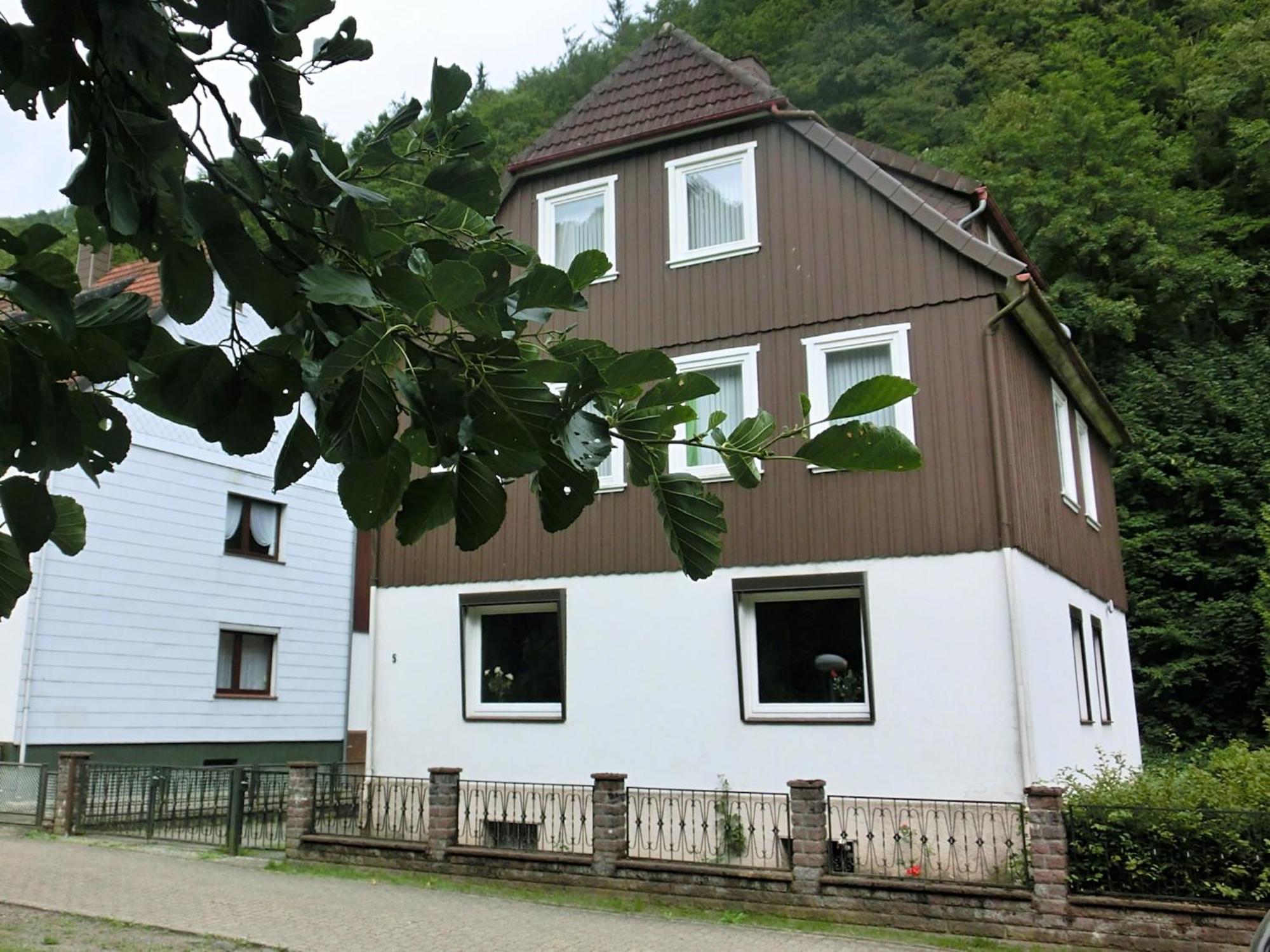 Spacious Group House In The Harz Region Zorge Екстер'єр фото