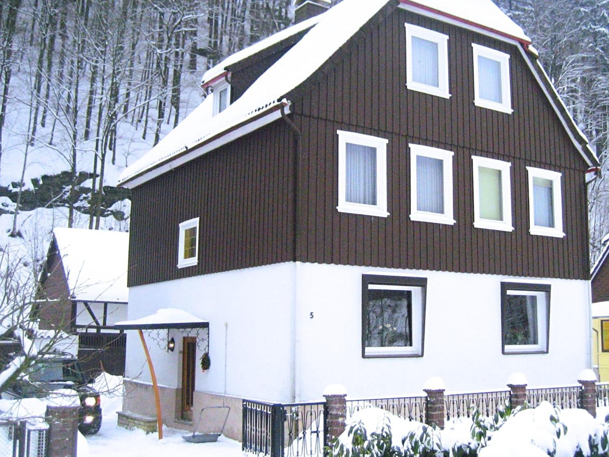 Spacious Group House In The Harz Region Zorge Екстер'єр фото